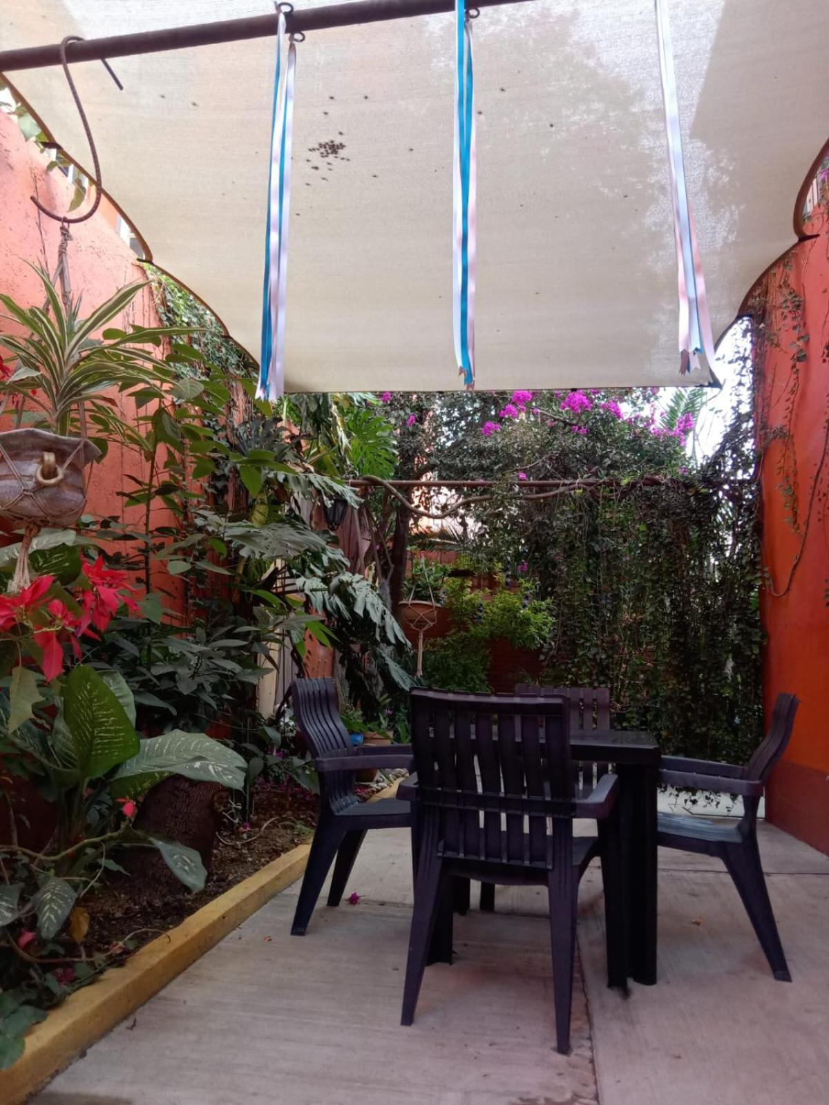 Casa Guanab Guest House Oaxaca المظهر الخارجي الصورة