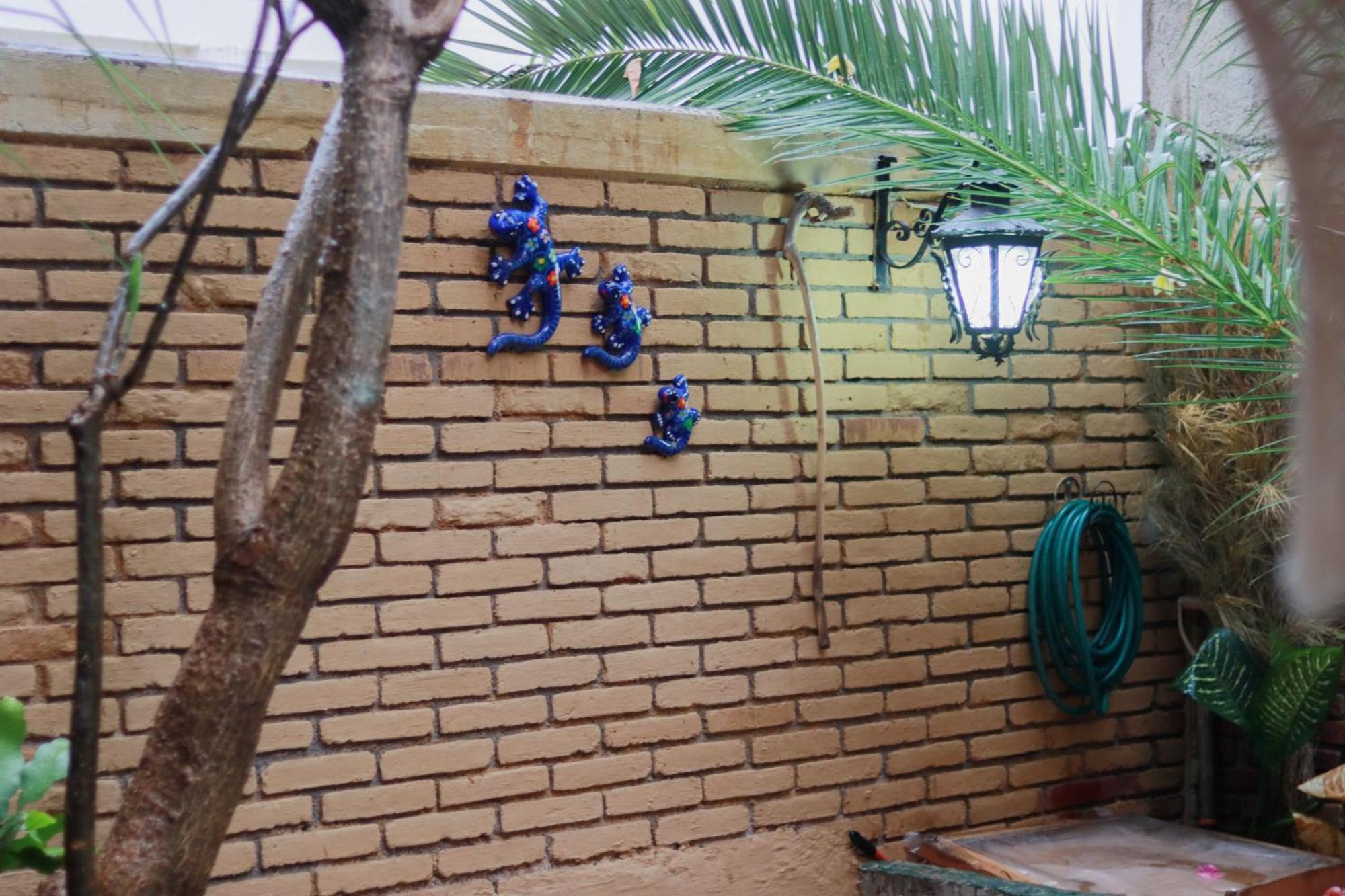 Casa Guanab Guest House Oaxaca المظهر الخارجي الصورة