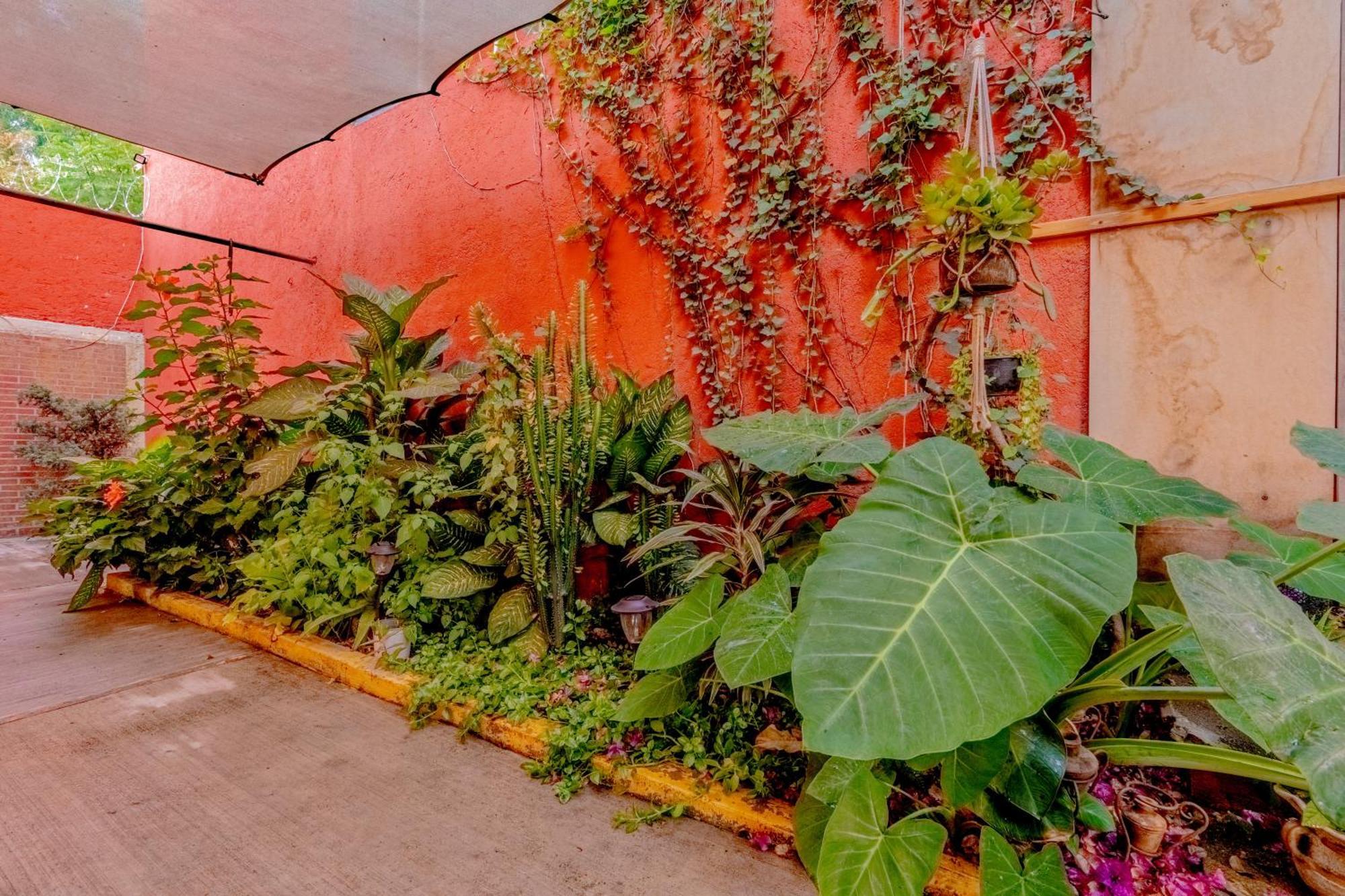 Casa Guanab Guest House Oaxaca المظهر الخارجي الصورة