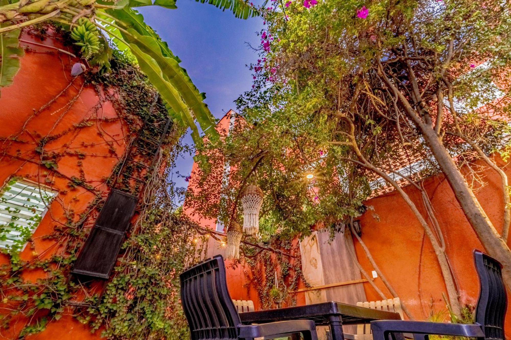 Casa Guanab Guest House Oaxaca المظهر الخارجي الصورة