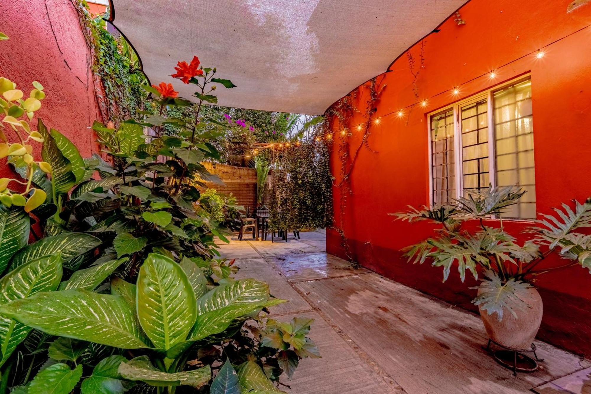Casa Guanab Guest House Oaxaca المظهر الخارجي الصورة